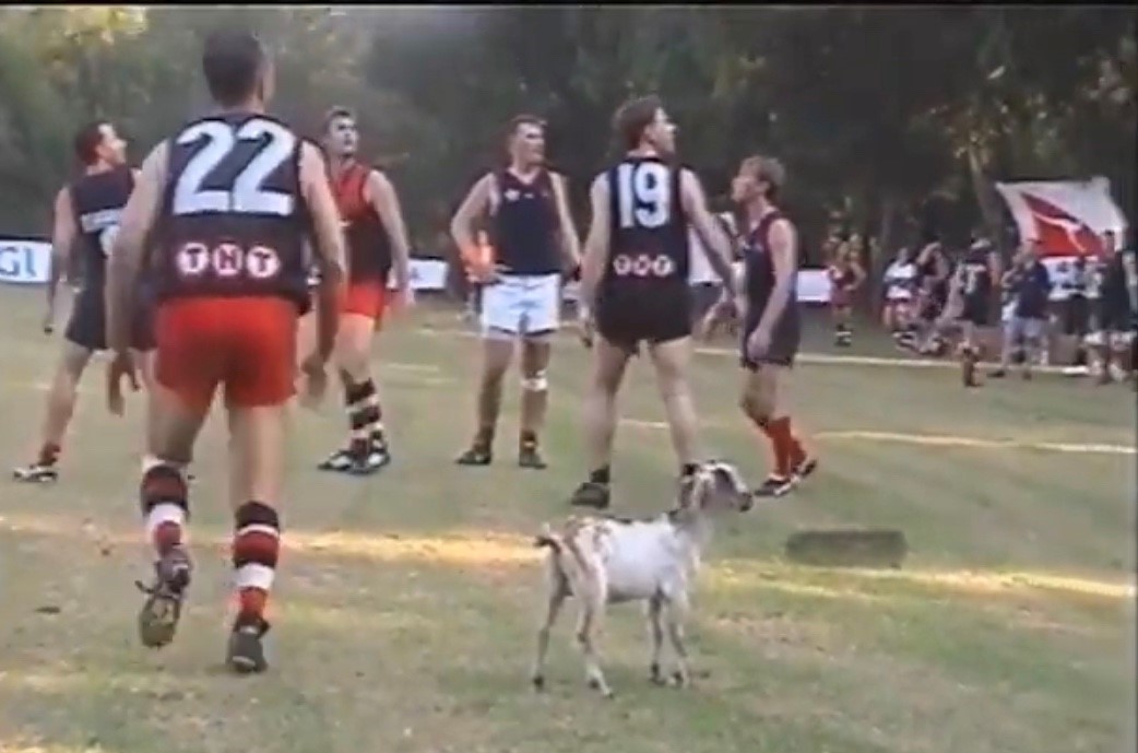 Flashback The Inaugural AFL Asian Championships of 2000 AFL Asia