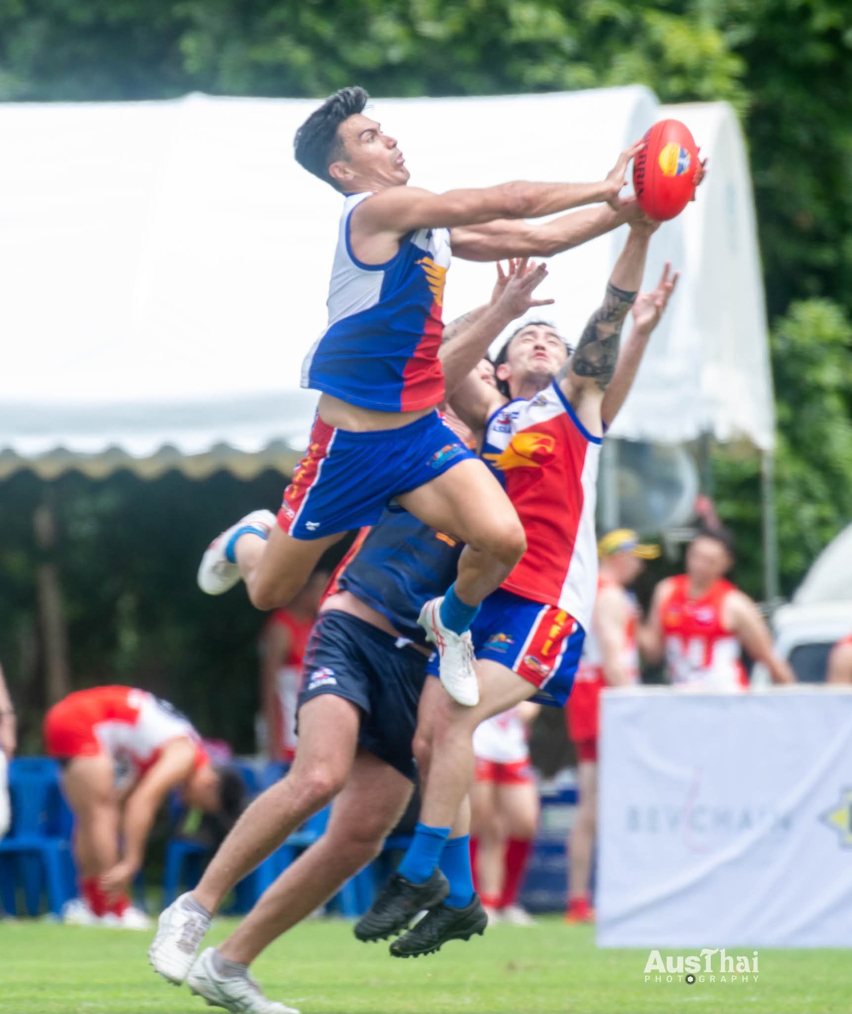 Avani Men’s Division 2